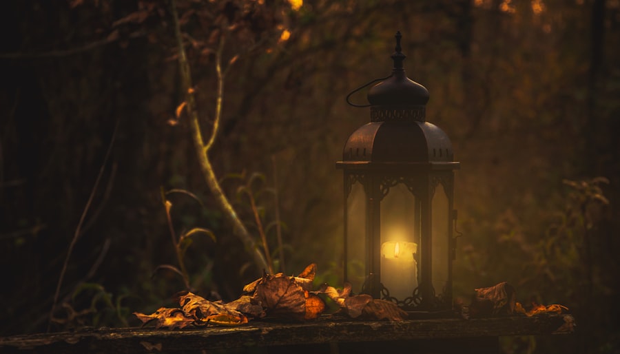 Illuminate Your Outdoors with Decorative Lights